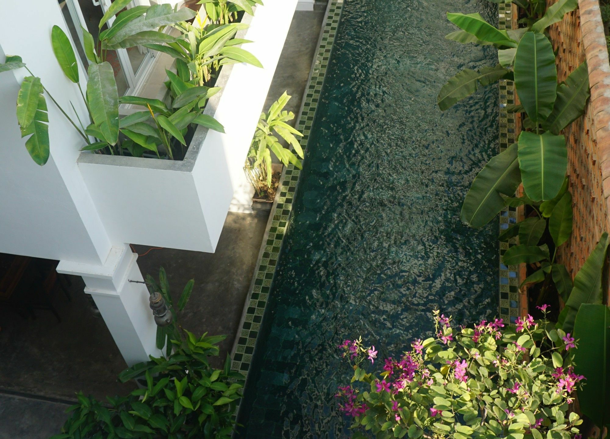 Iam Saigon Homestay Ho Chi Minh Zewnętrze zdjęcie