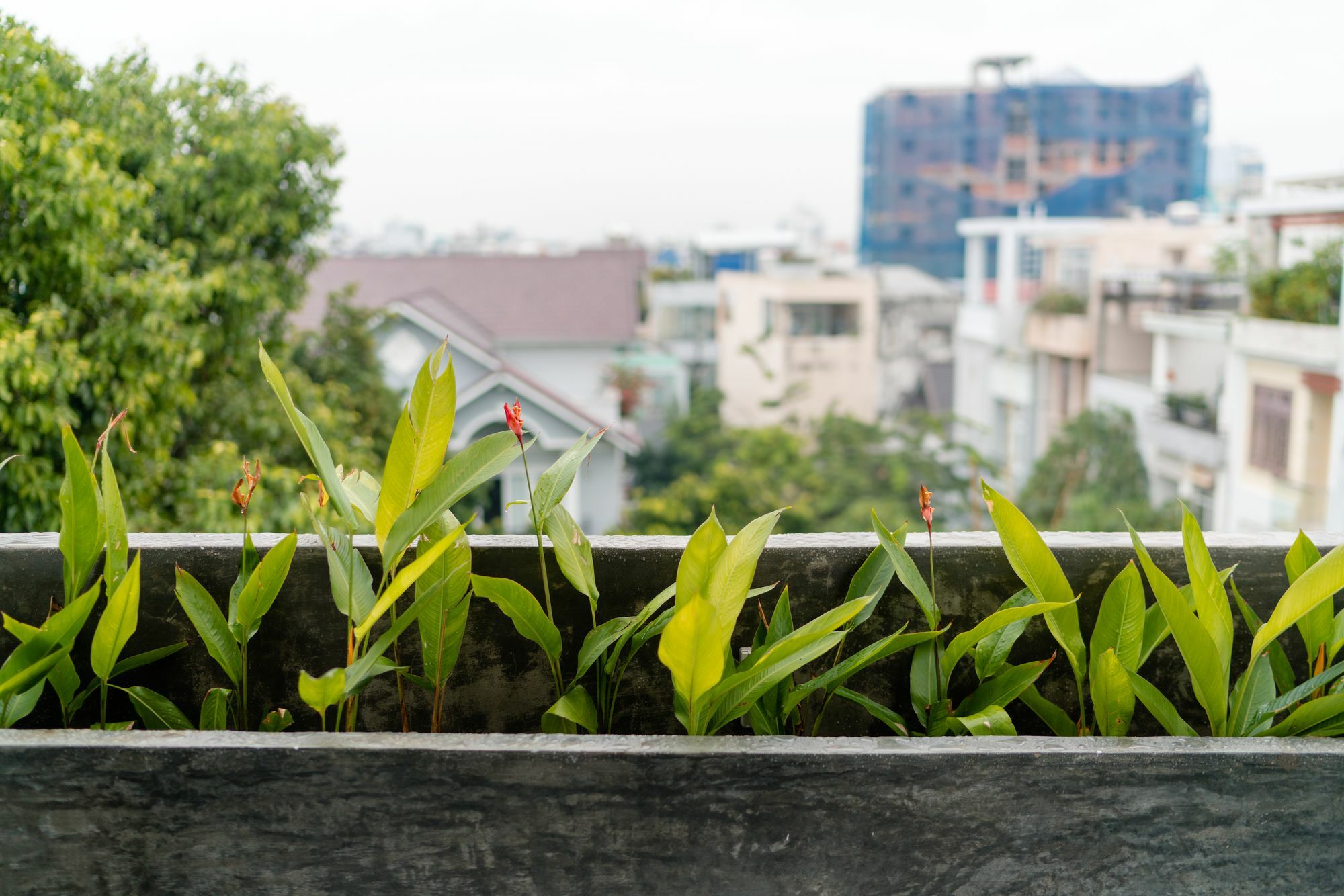 Iam Saigon Homestay Ho Chi Minh Zewnętrze zdjęcie